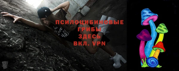 молекула духа Козловка