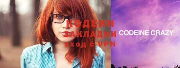 молекула духа Козловка