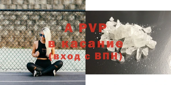 молекула духа Козловка