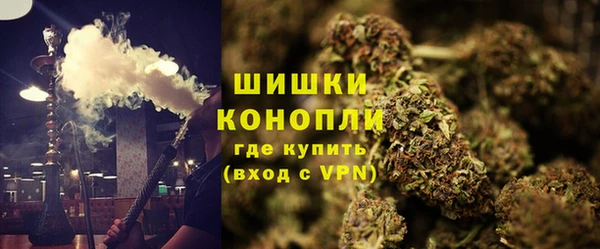 молекула духа Козловка