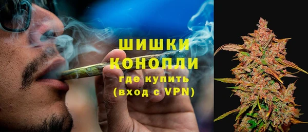 молекула духа Козловка