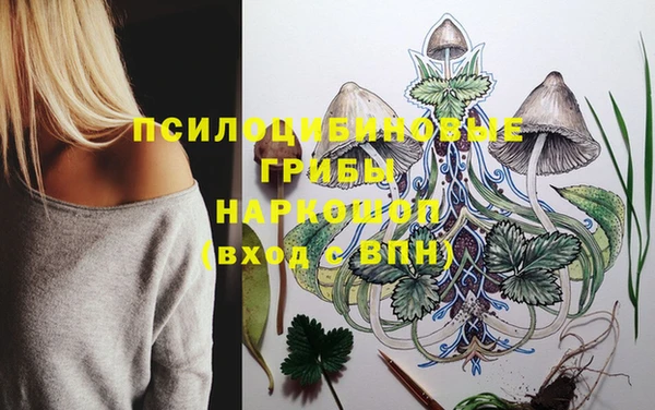 молекула духа Козловка