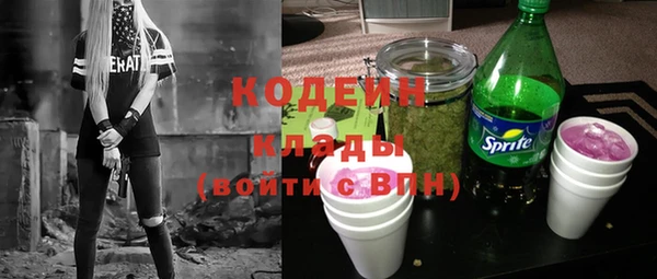 молекула духа Козловка