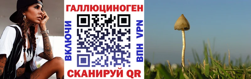 Псилоцибиновые грибы Psilocybine cubensis  где купить наркоту  Малмыж 